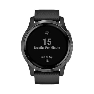 Часы Garmin Venu черные с серым безелем